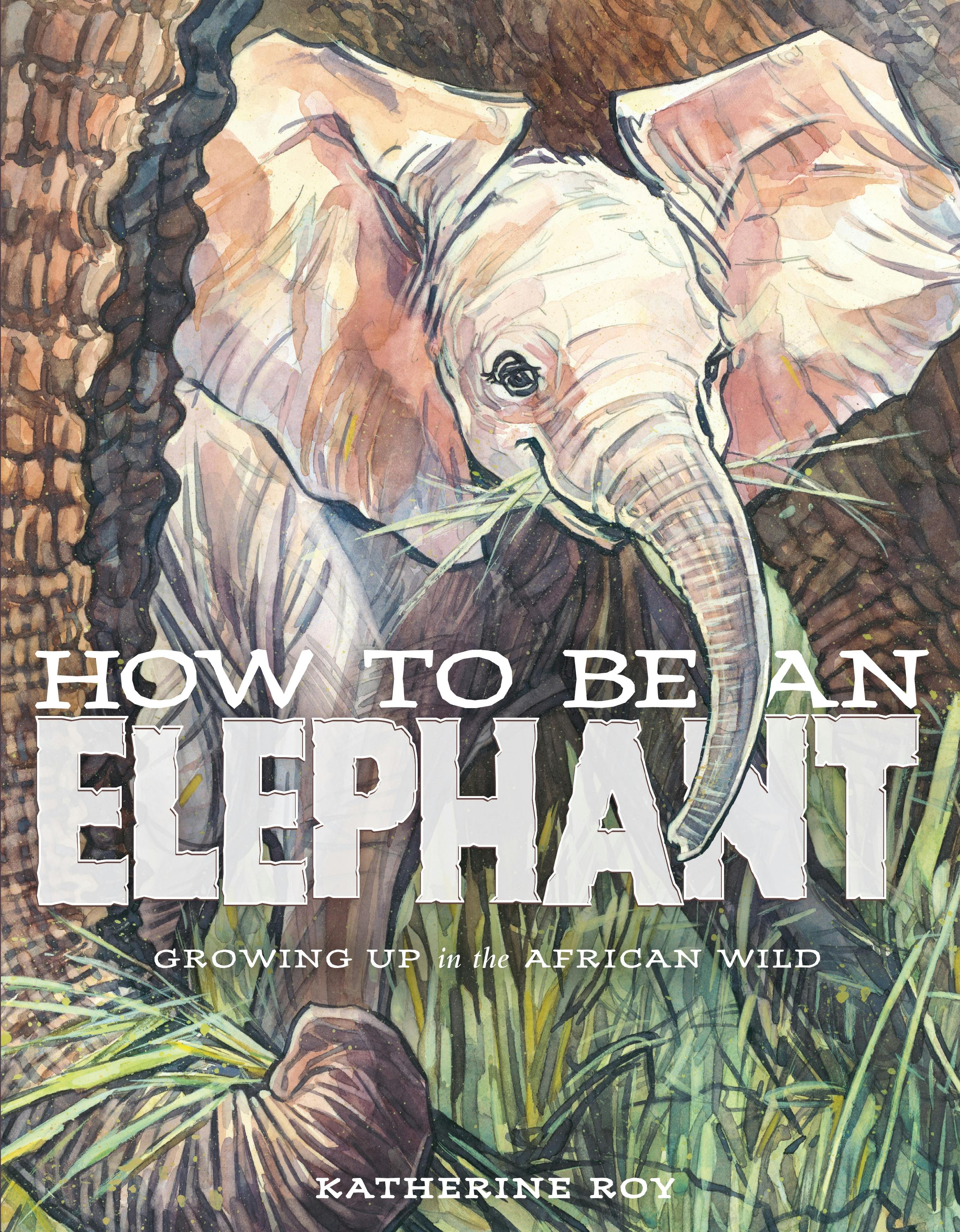 The Essential Guide to Wordless Picture Books! - Happily Ever Elephants