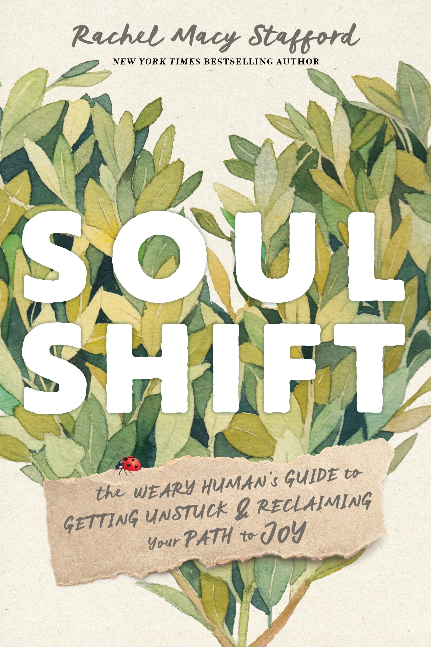 Describes for Soul Shift by authors