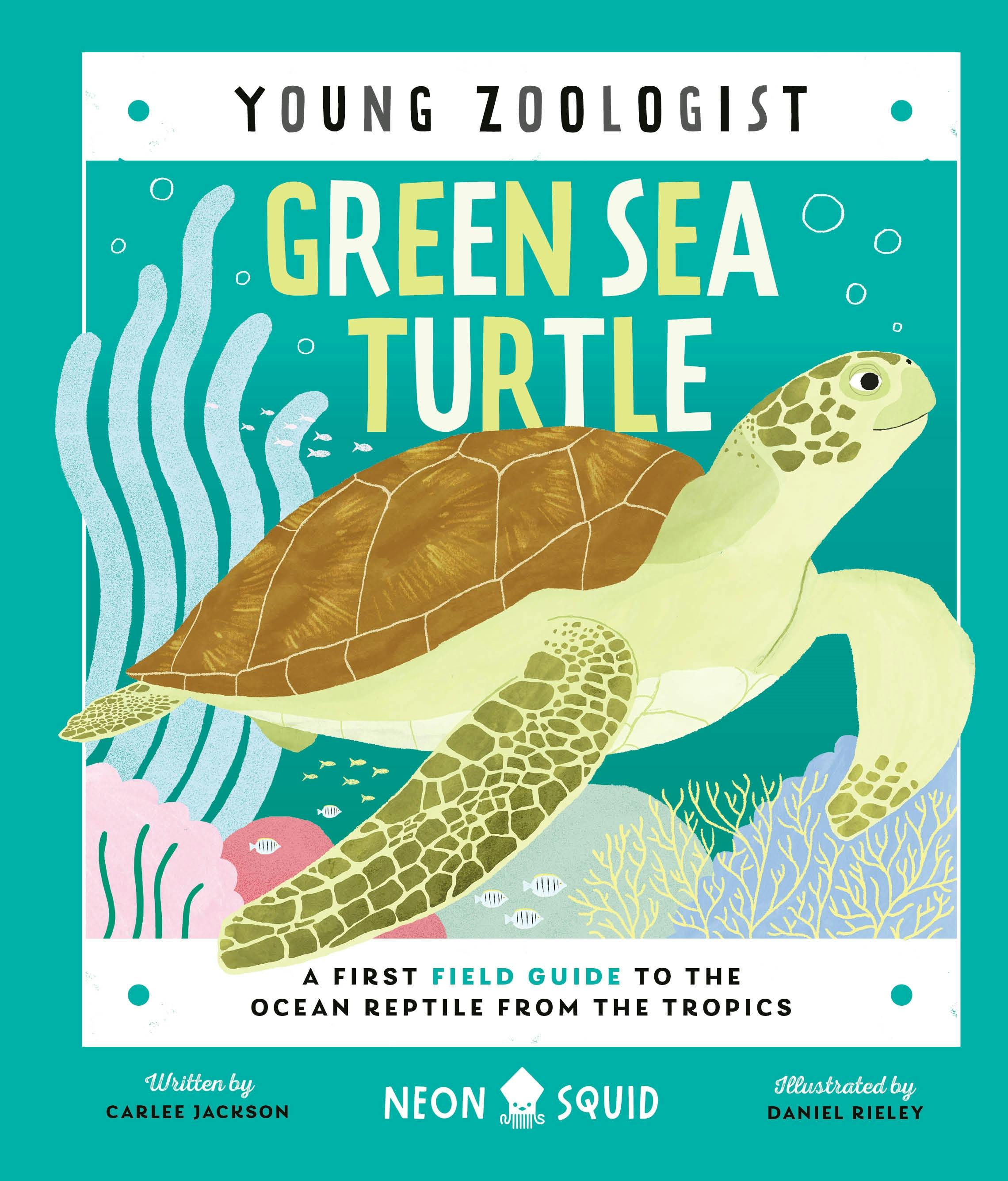 Green Sea Turtle (Young Zoologist)
